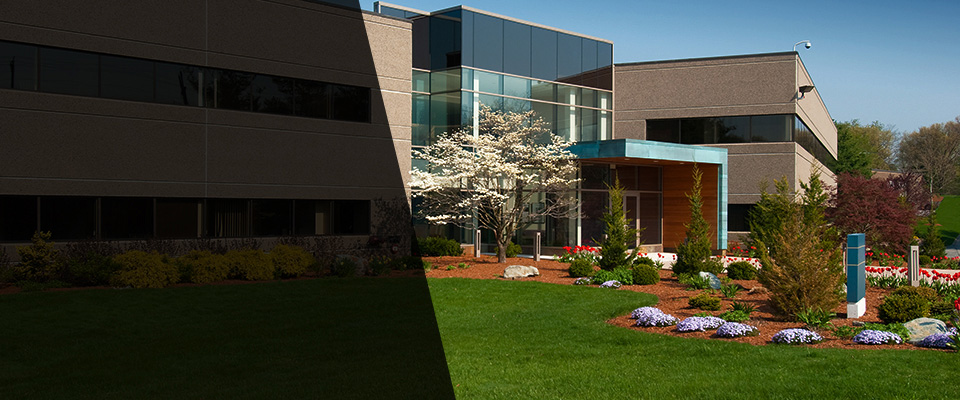 Santa Cruz Landscapers